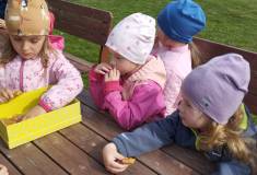 IMG_20250415_103740