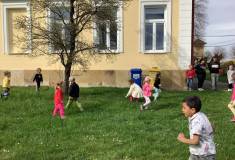 IMG_5581