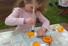 IMG_20250415_160944