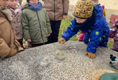 f2aa8ab0-6723-45c9-80eb-62abc07c3c33