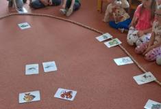 IMG_20260520_093012