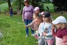 IMG_20260520_110513
