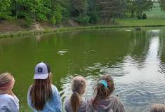 IMG_20260520_110838