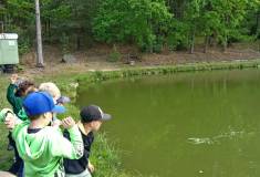IMG_20260520_111117