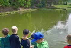 IMG_20260520_111156