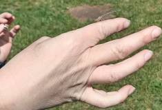 IMG_20260520_111356