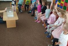 IMG_20250606_094449
