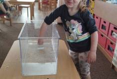 IMG_20250606_094503