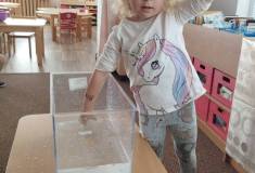 IMG_20250606_094618