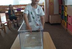 IMG_20250606_094713