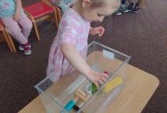 IMG_20250606_095202