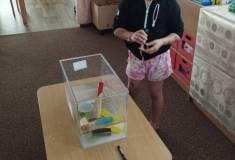 IMG_20250606_095259