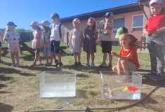 IMG-20260528-WA0000