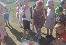 IMG-20260528-WA0003