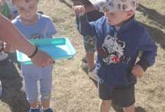 IMG-20260528-WA0009
