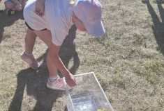 IMG-20260528-WA0010