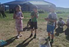 IMG-20260528-WA0011