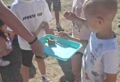 IMG-20260528-WA0012