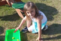 IMG_20260525_083709