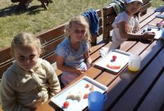 IMG_20260528_091829