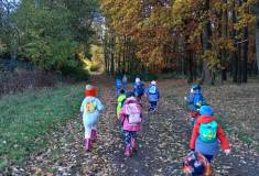 IMG_20231101_094914