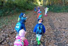 IMG_20231101_094942