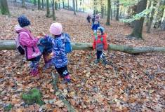 IMG_20231101_100659