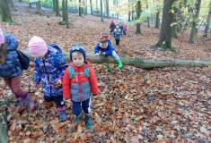 IMG_20231101_100703