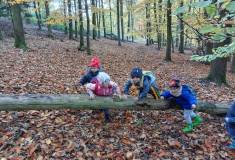 IMG_20231101_100722
