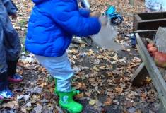 IMG_20231101_101139