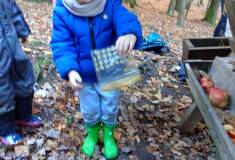 IMG_20231101_101206