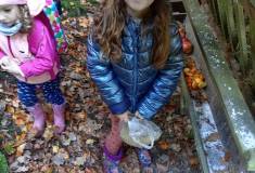 IMG_20231101_101225
