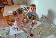IMG_20231102_082439