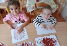 IMG_20231102_083115