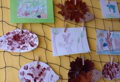 IMG_20231102_085239