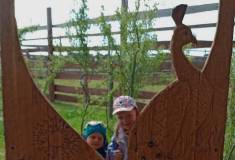 IMG_20250527_092101