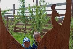 IMG_20250527_092137