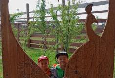 IMG_20250527_092155