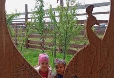 IMG_20250527_092211