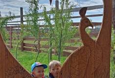 IMG_20250527_092216