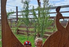 IMG_20250527_092223