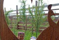 IMG_20250527_092233