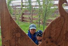 IMG_20250527_092246