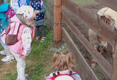 IMG_20250527_092557