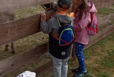 IMG_20250527_092614