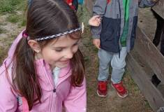 IMG_20250527_092723