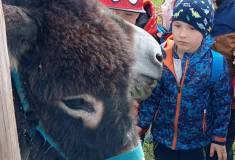 IMG_20250527_092809