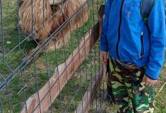 IMG_20250527_093455
