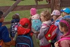 IMG_20250527_093623