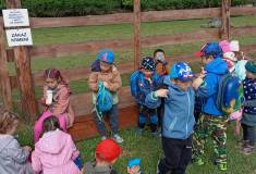 IMG_20250527_093850